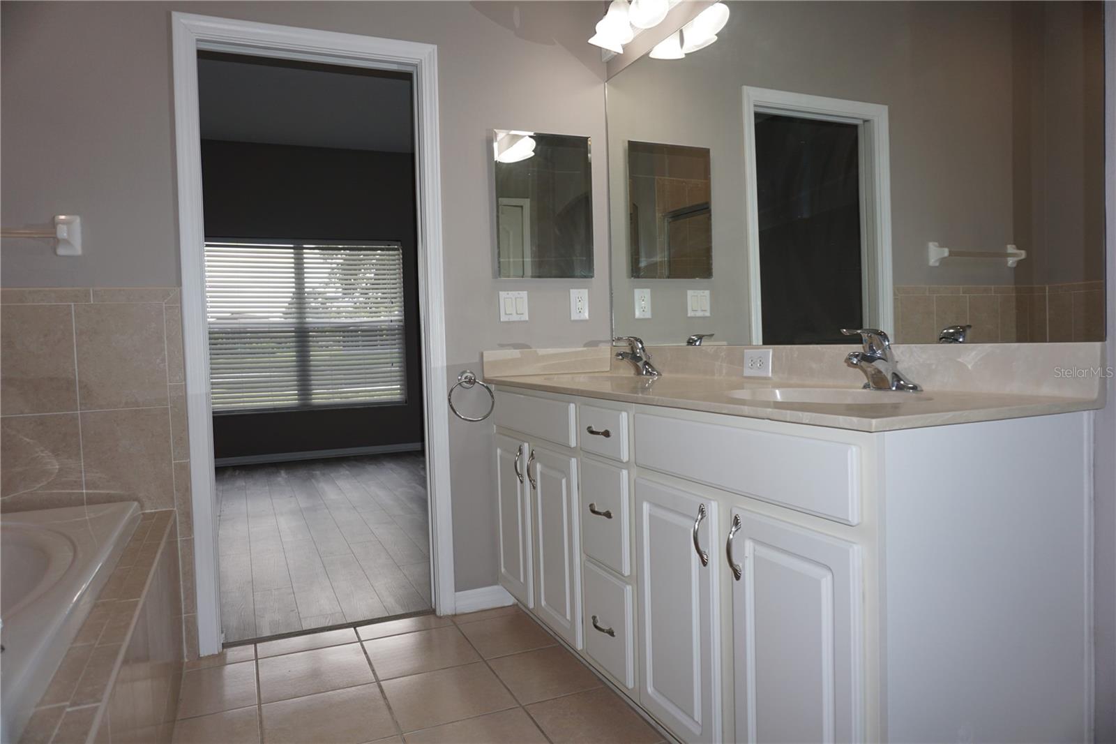 3553 MORGANS BLUFF CT, LAND O LAKES, FL, 34639