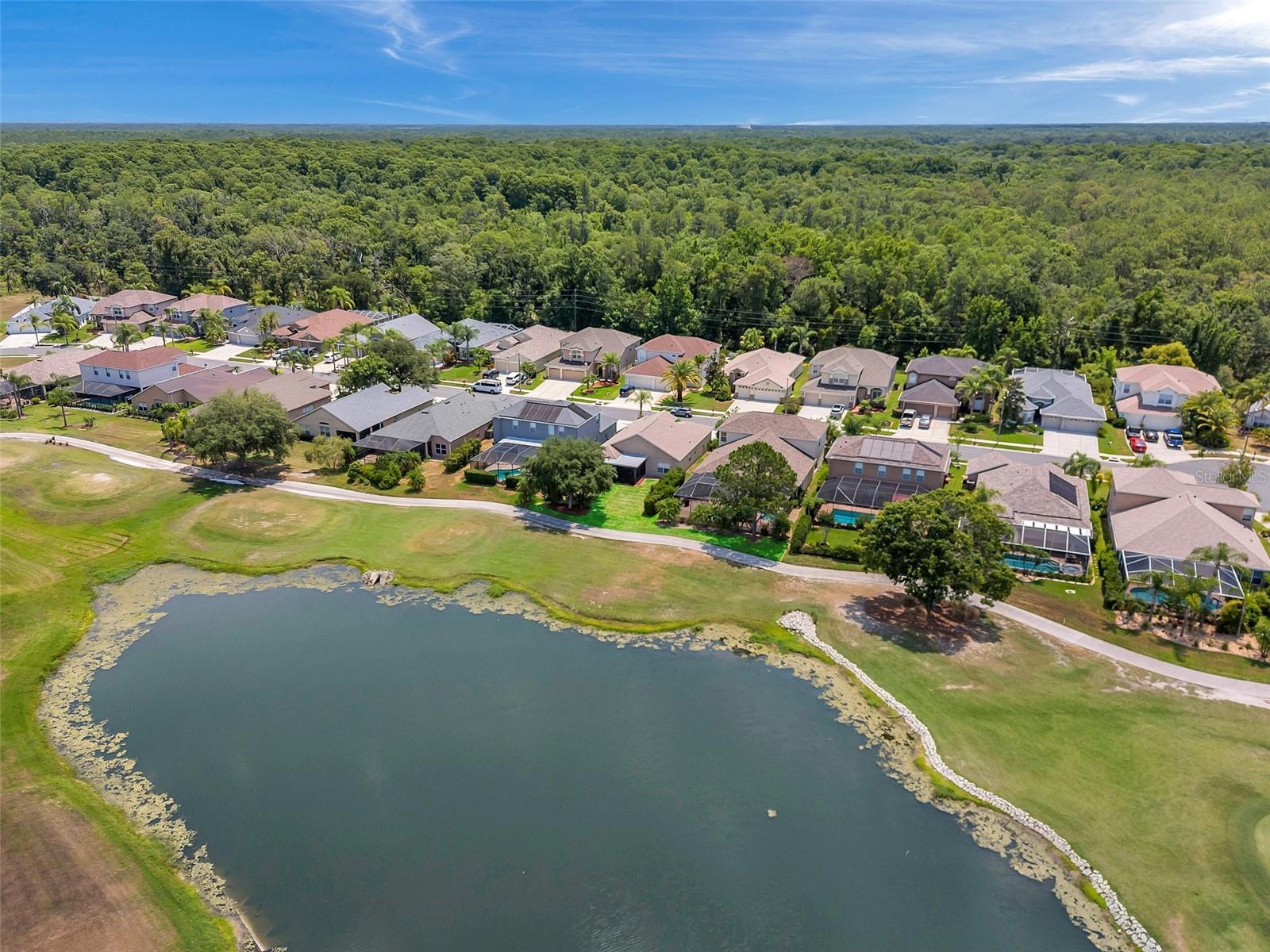 3553 MORGANS BLUFF CT, LAND O LAKES, FL, 34639