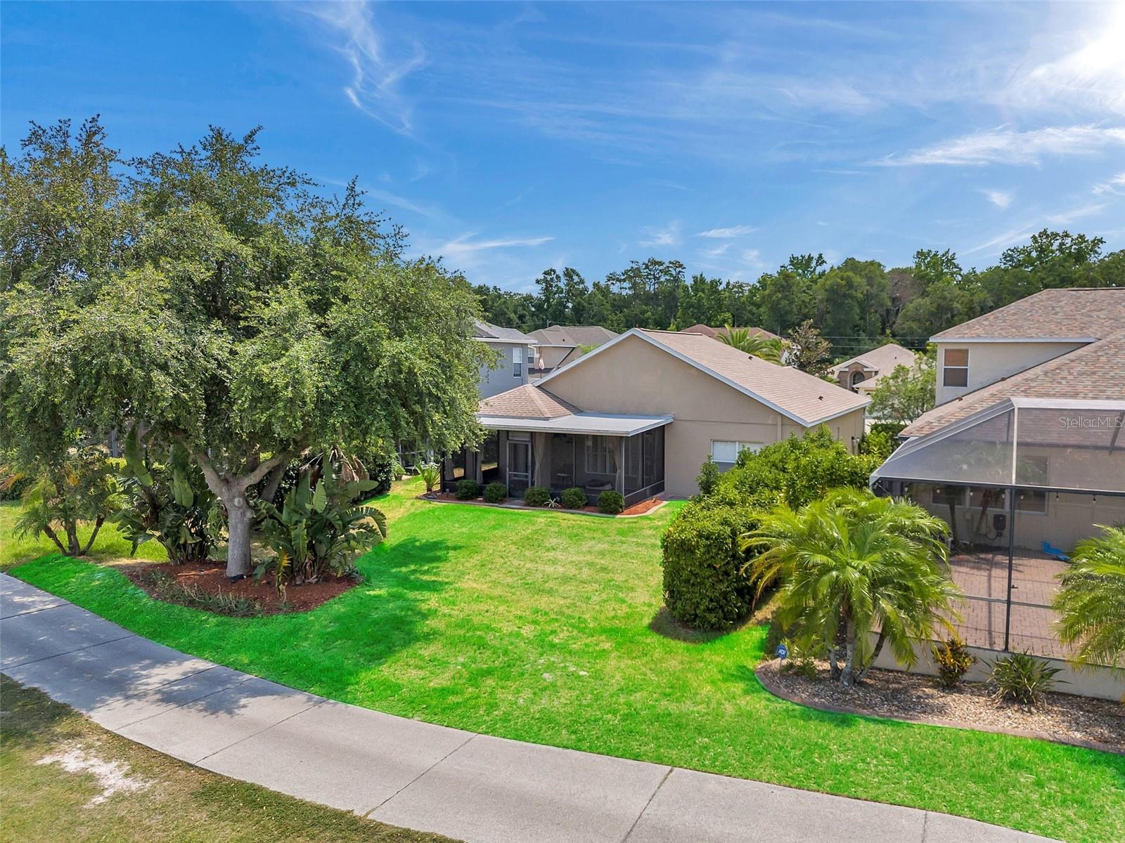 3553 MORGANS BLUFF CT, LAND O LAKES, FL, 34639