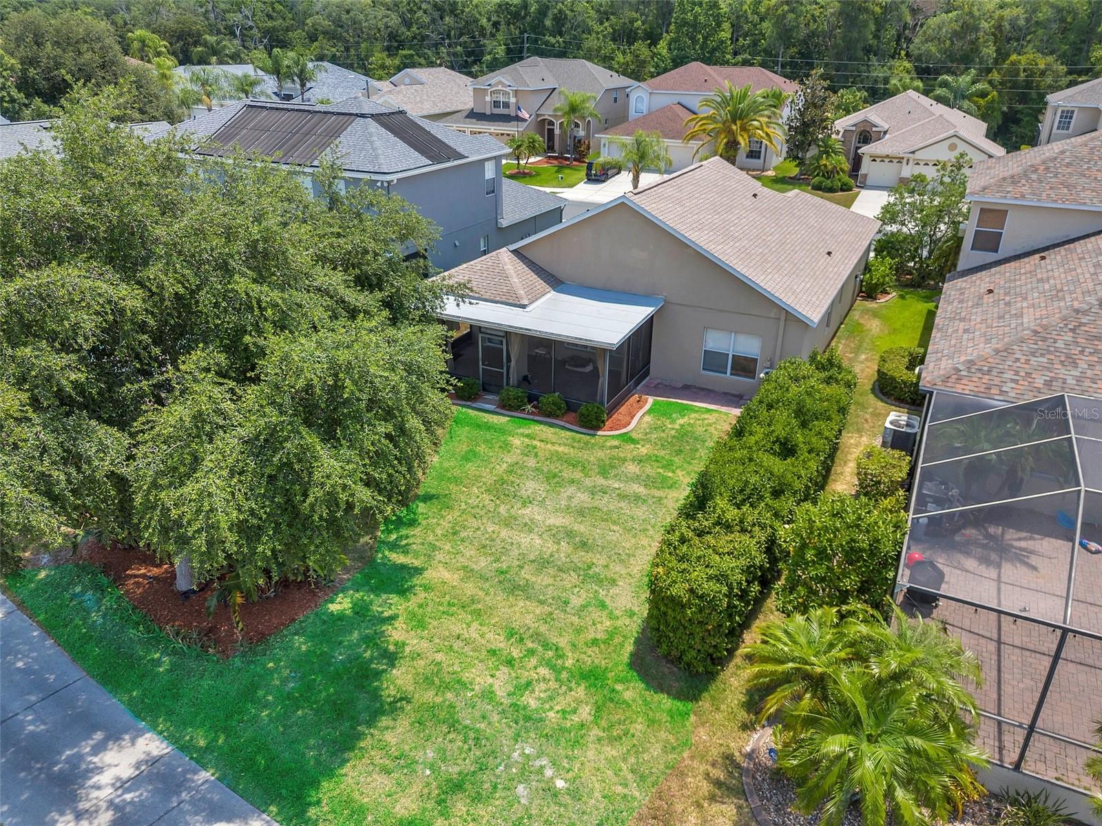 3553 MORGANS BLUFF CT, LAND O LAKES, FL, 34639