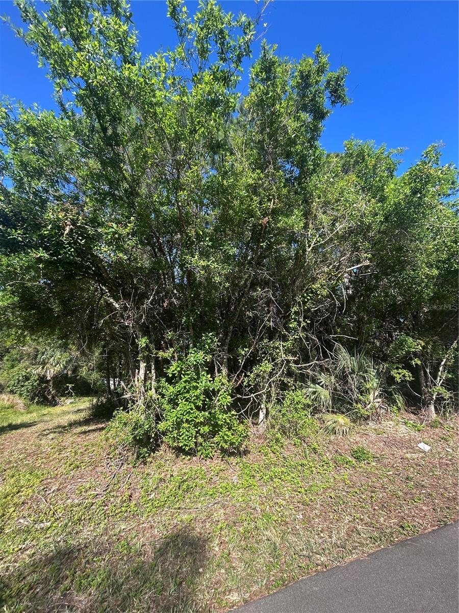 566 CARPENTER AVE NW, PALM BAY, FL, 32907