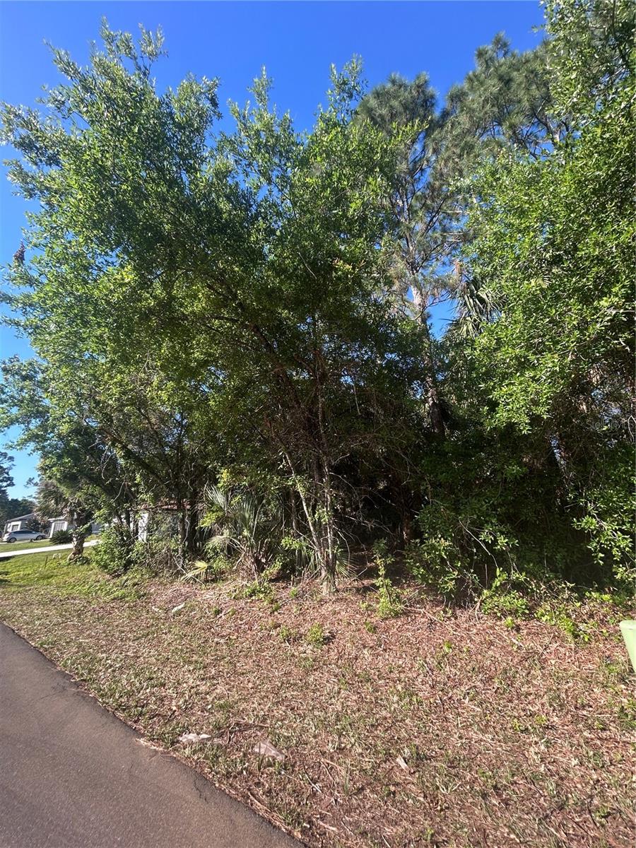 566 CARPENTER AVE NW, PALM BAY, FL, 32907