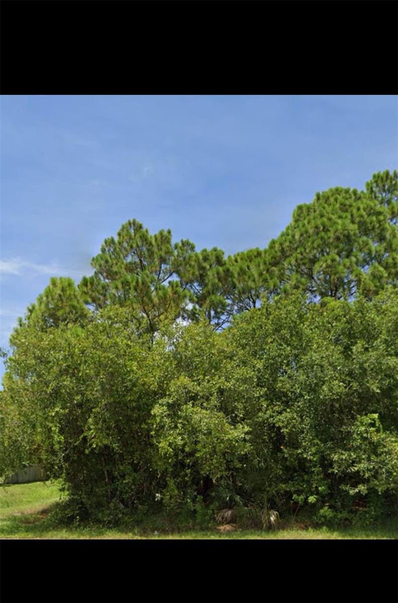 566 CARPENTER AVE NW, PALM BAY, FL, 32907