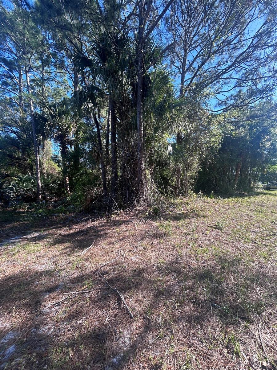 566 CARPENTER AVE NW, PALM BAY, FL, 32907