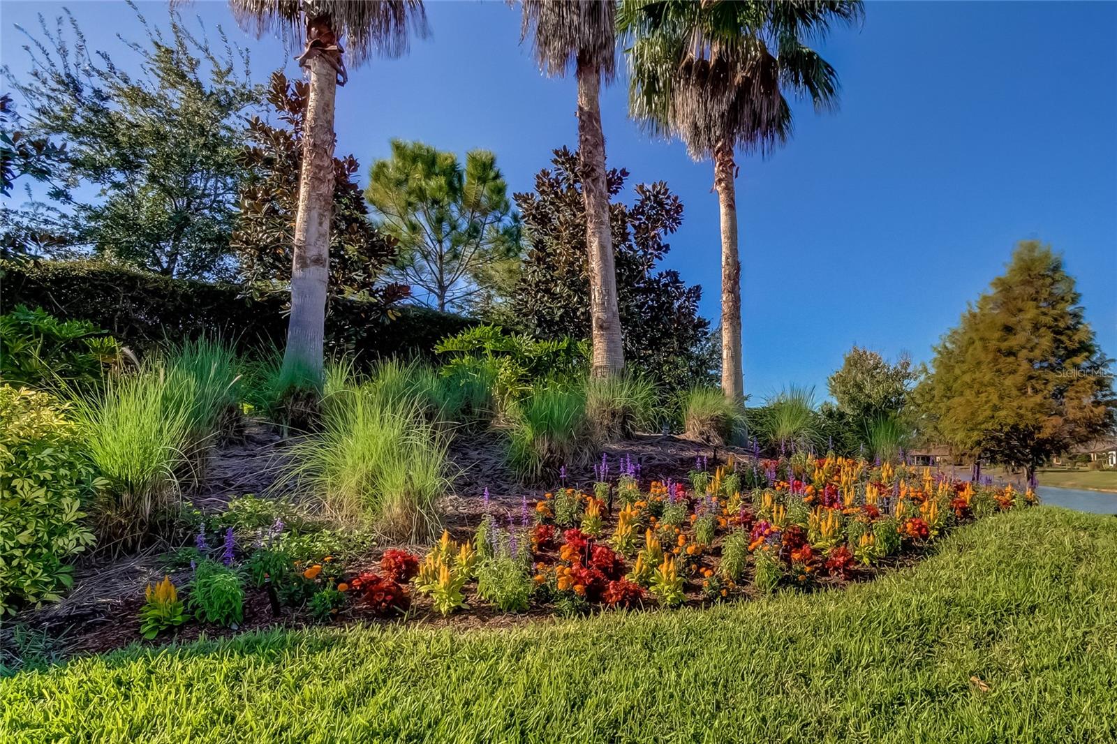 11257 EGERIA DR, ODESSA, FL, 33556