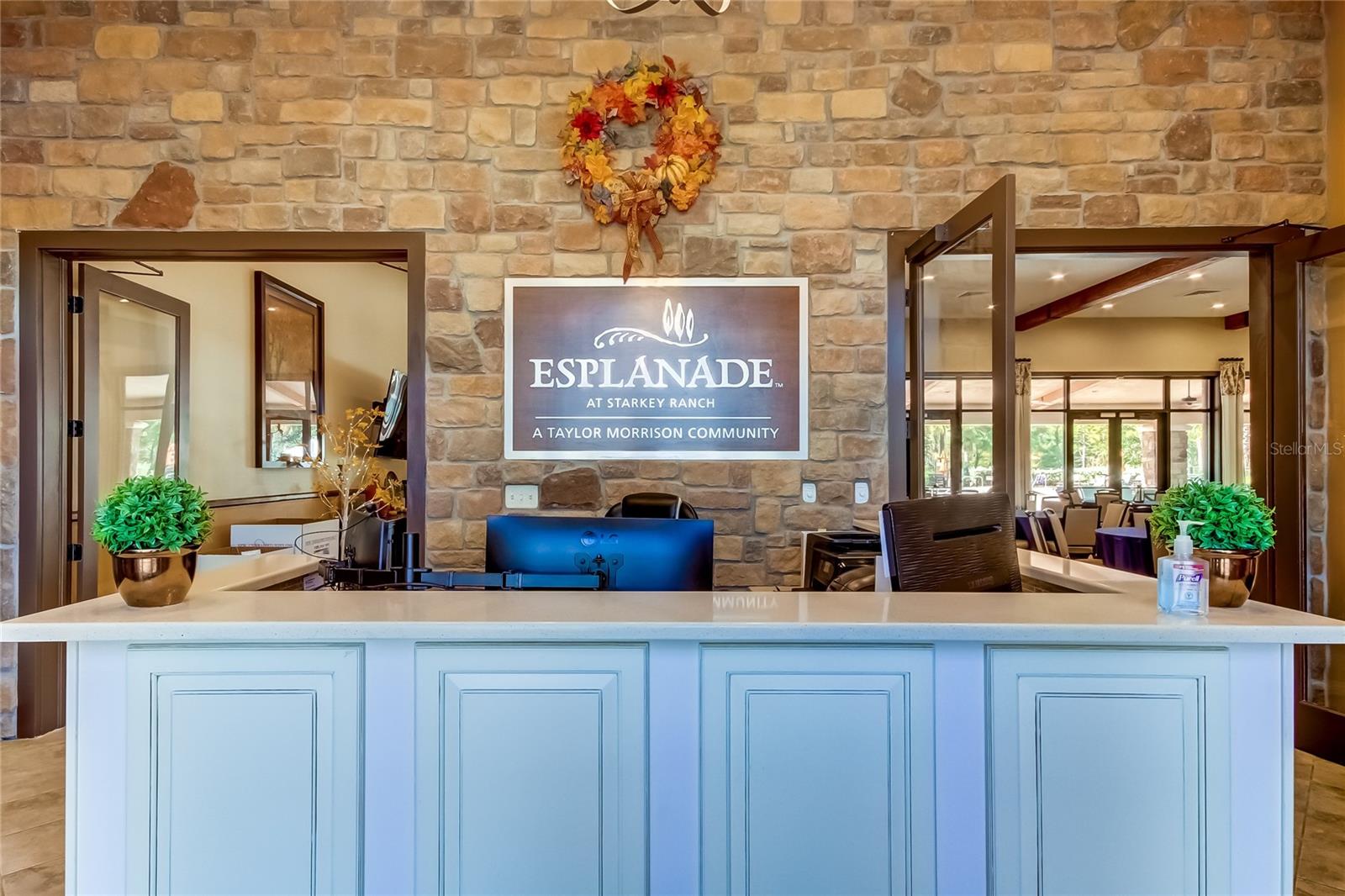 11257 EGERIA DR, ODESSA, FL, 33556