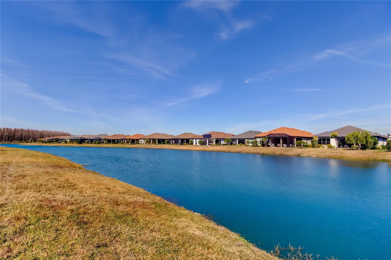 11257 EGERIA DR, ODESSA, FL, 33556