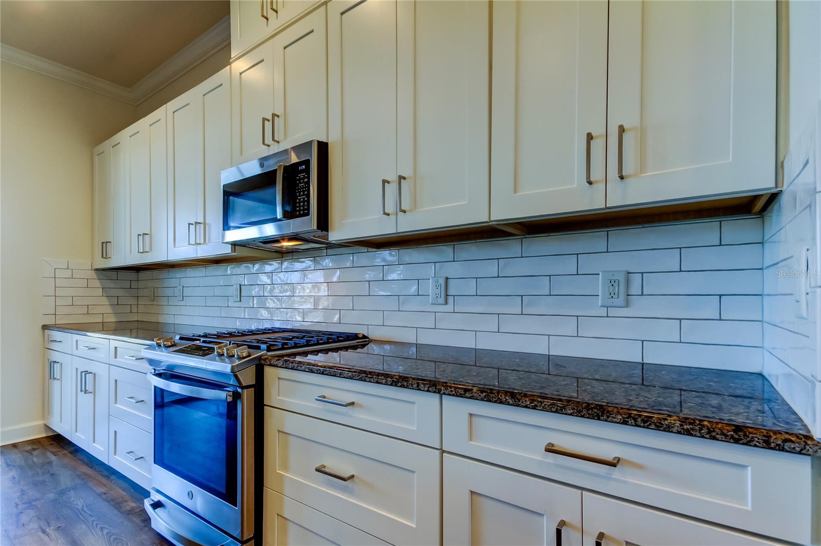 11257 EGERIA DR, ODESSA, FL, 33556