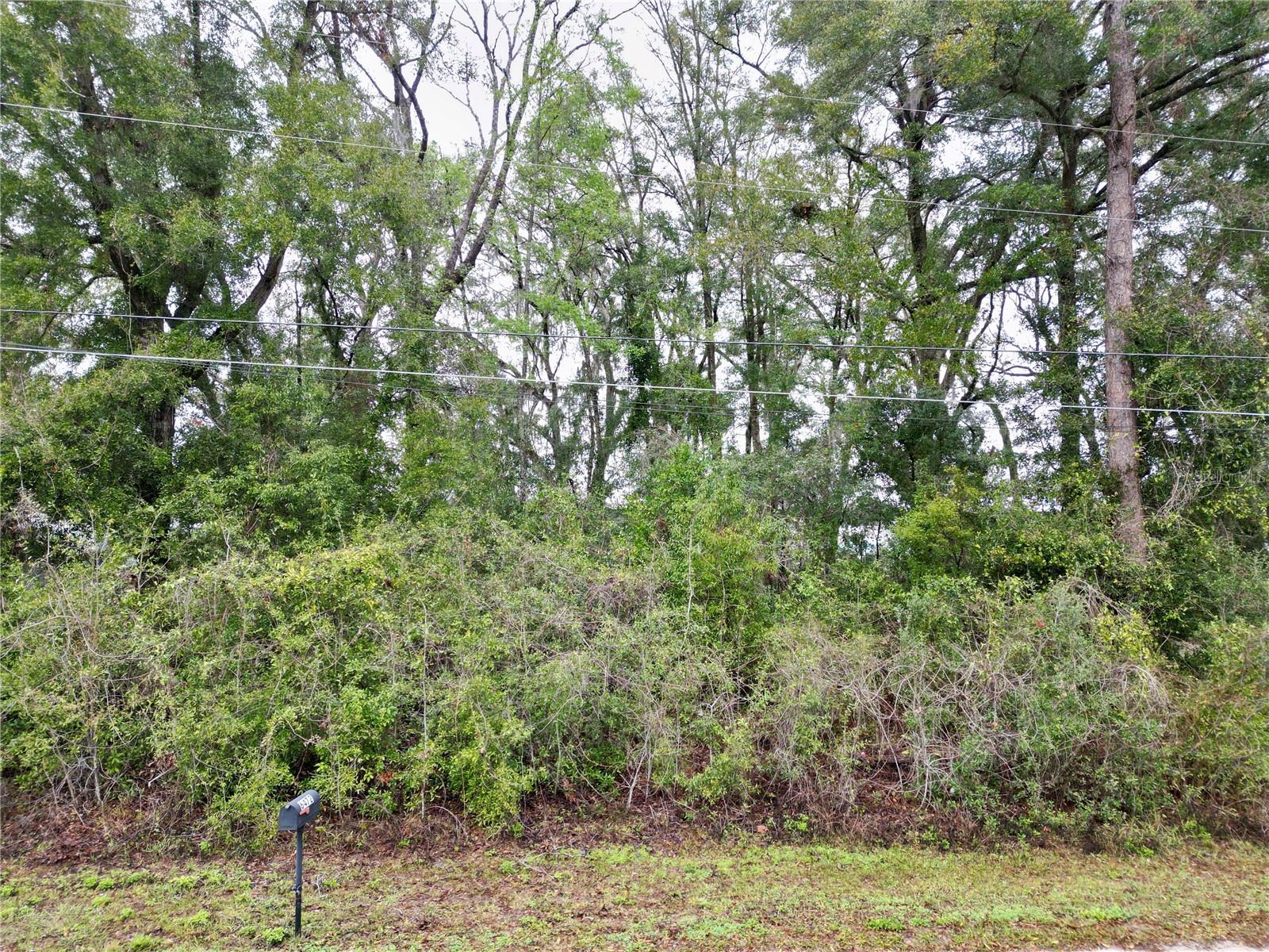 TBD NW 65TH PL, OCALA, FL, 34482