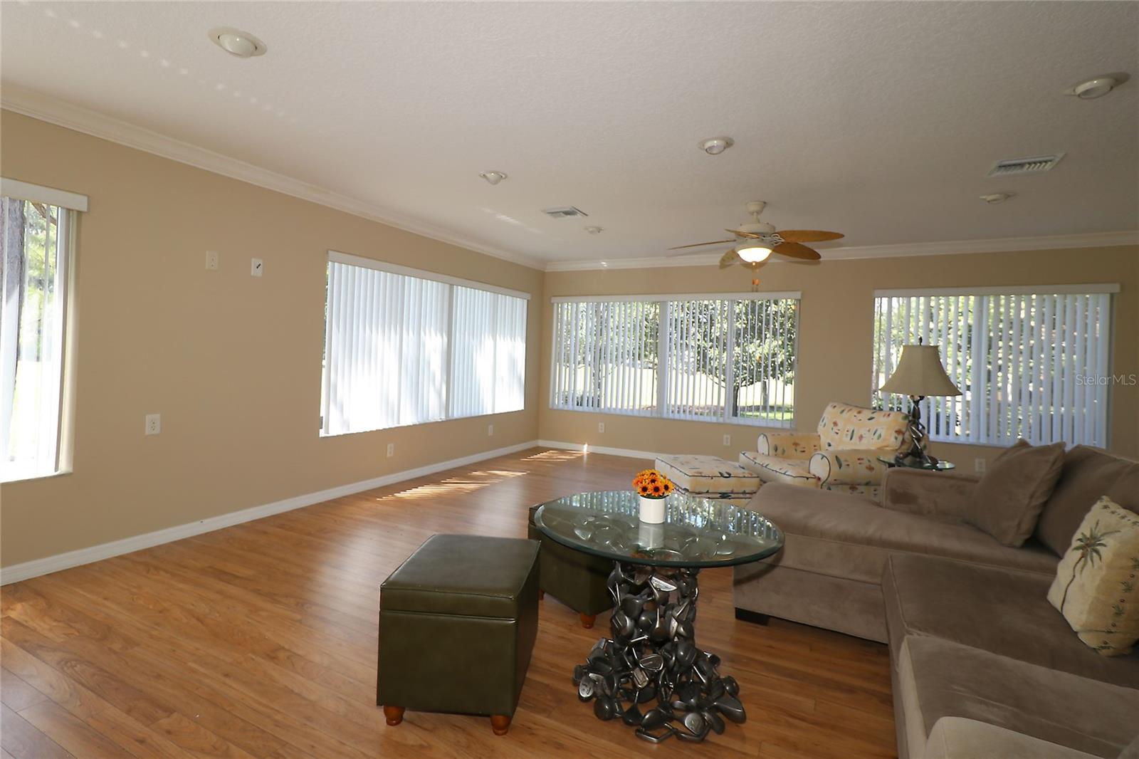 17274 SE 85TH WILLOWICK CIR, THE VILLAGES, FL, 32162
