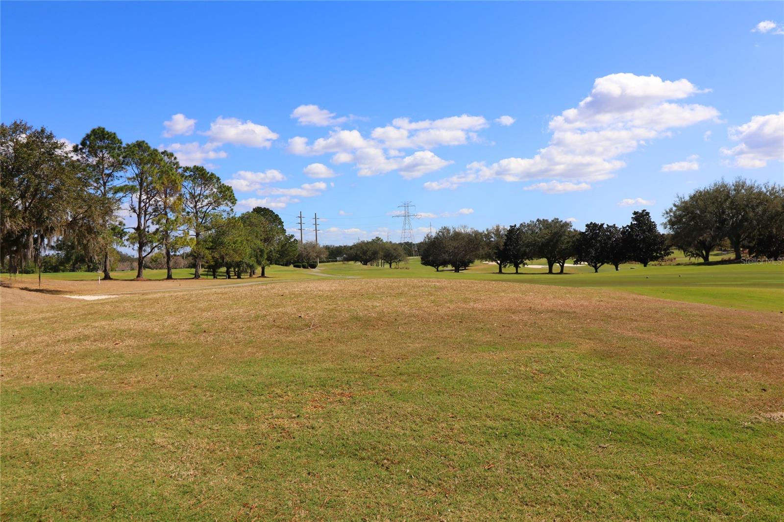17274 SE 85TH WILLOWICK CIR, THE VILLAGES, FL, 32162