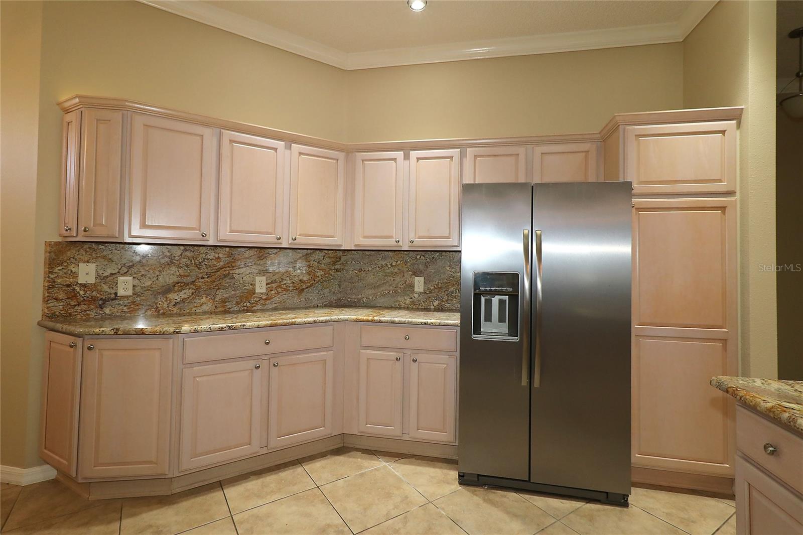 17274 SE 85TH WILLOWICK CIR, THE VILLAGES, FL, 32162