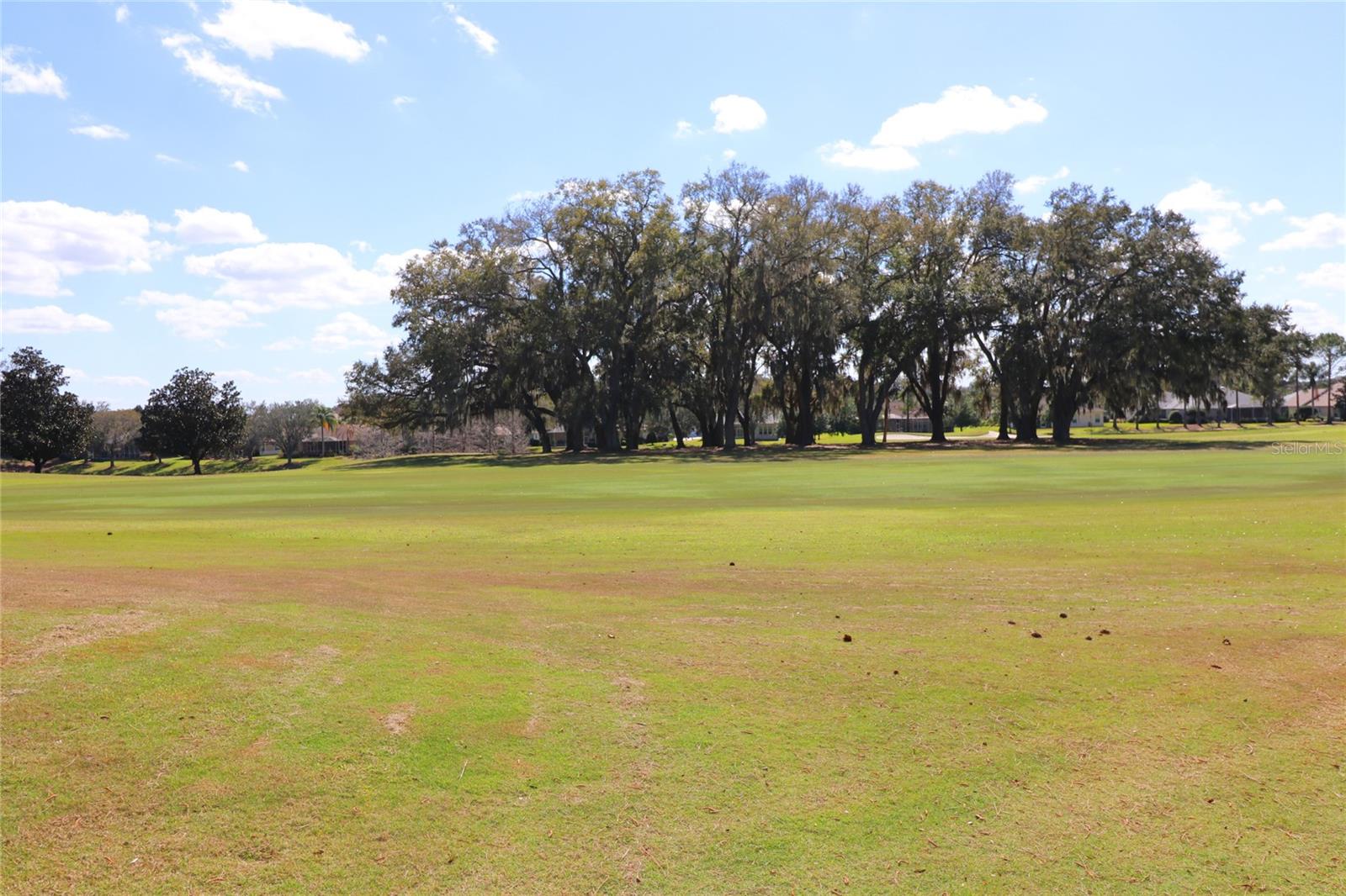 17274 SE 85TH WILLOWICK CIR, THE VILLAGES, FL, 32162