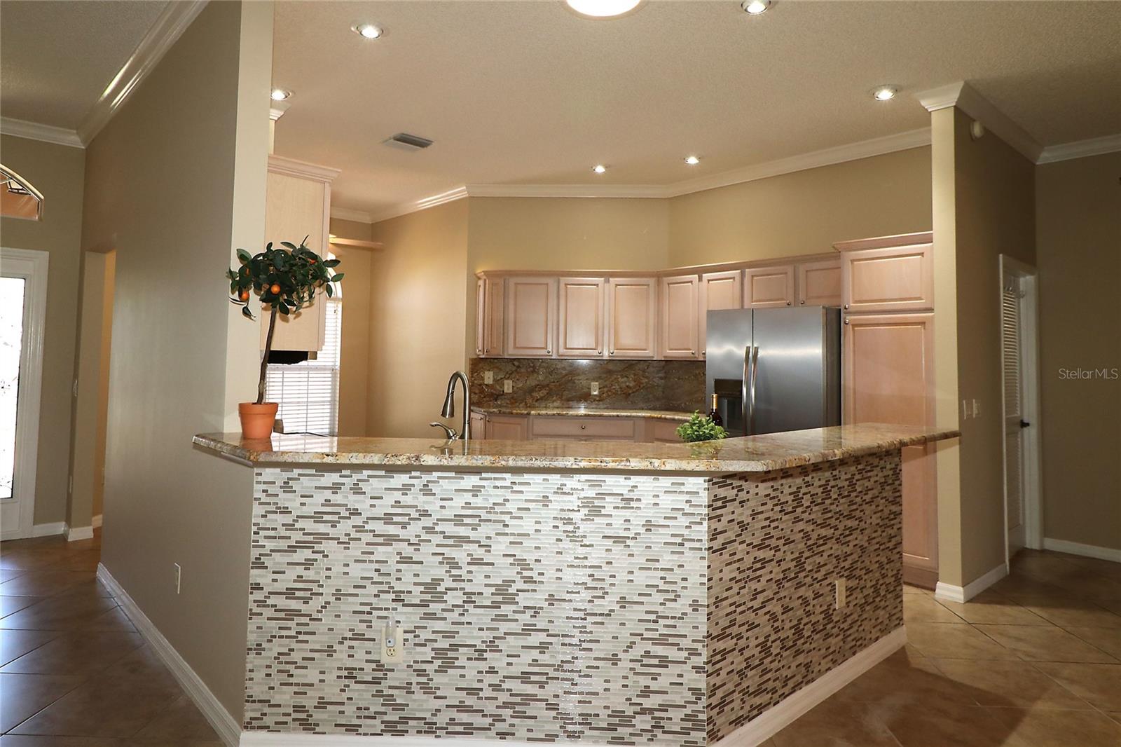 17274 SE 85TH WILLOWICK CIR, THE VILLAGES, FL, 32162