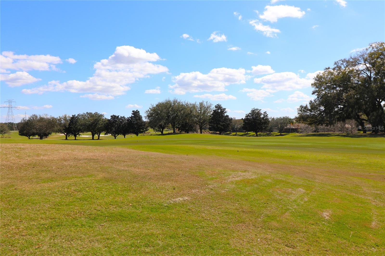 17274 SE 85TH WILLOWICK CIR, THE VILLAGES, FL, 32162
