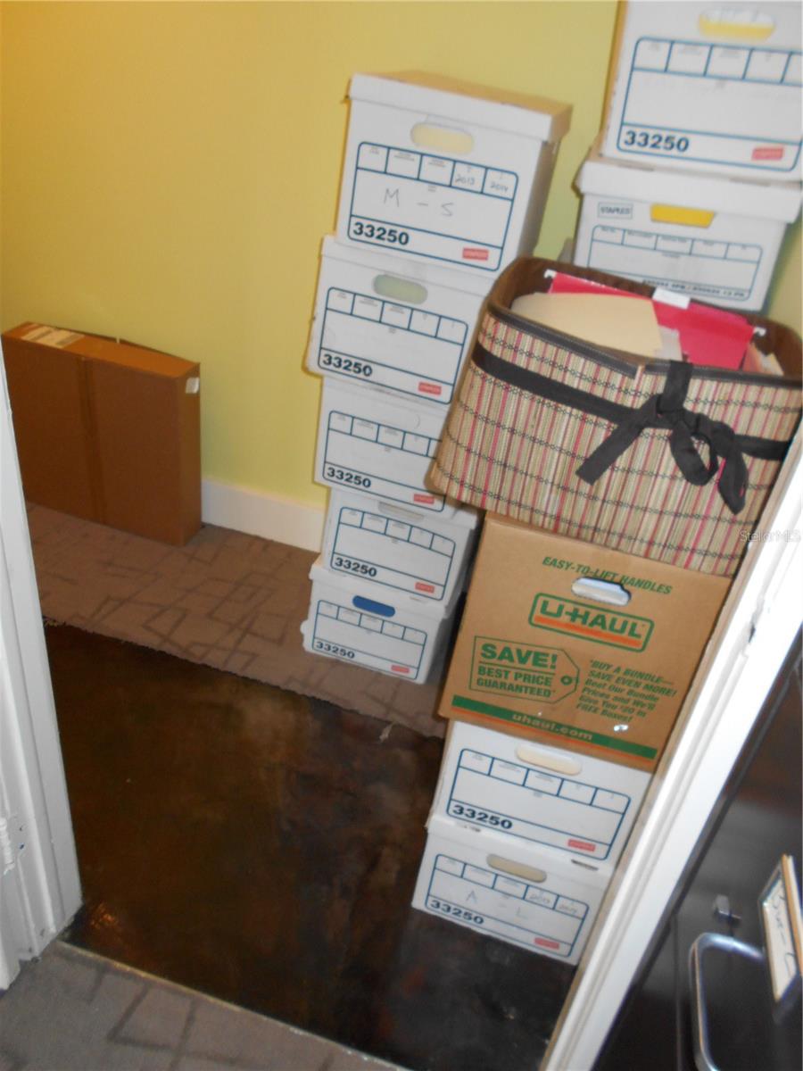 1380 ALT 19, PALM HARBOR, FL, 34683