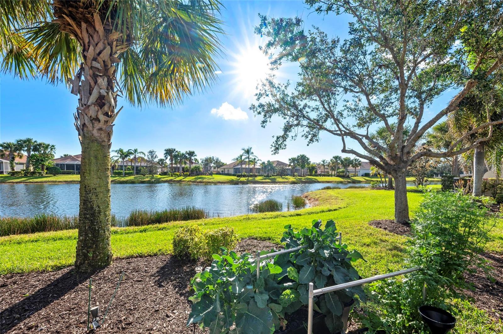 13309 IPOLITA ST, VENICE, FL, 34293