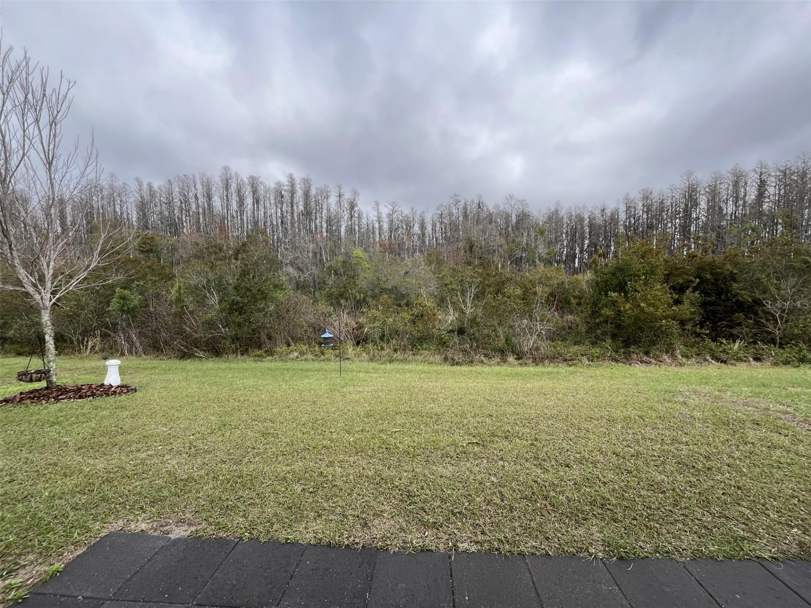 18339 TURNING LEAF CIR, LAND O LAKES, FL, 34638