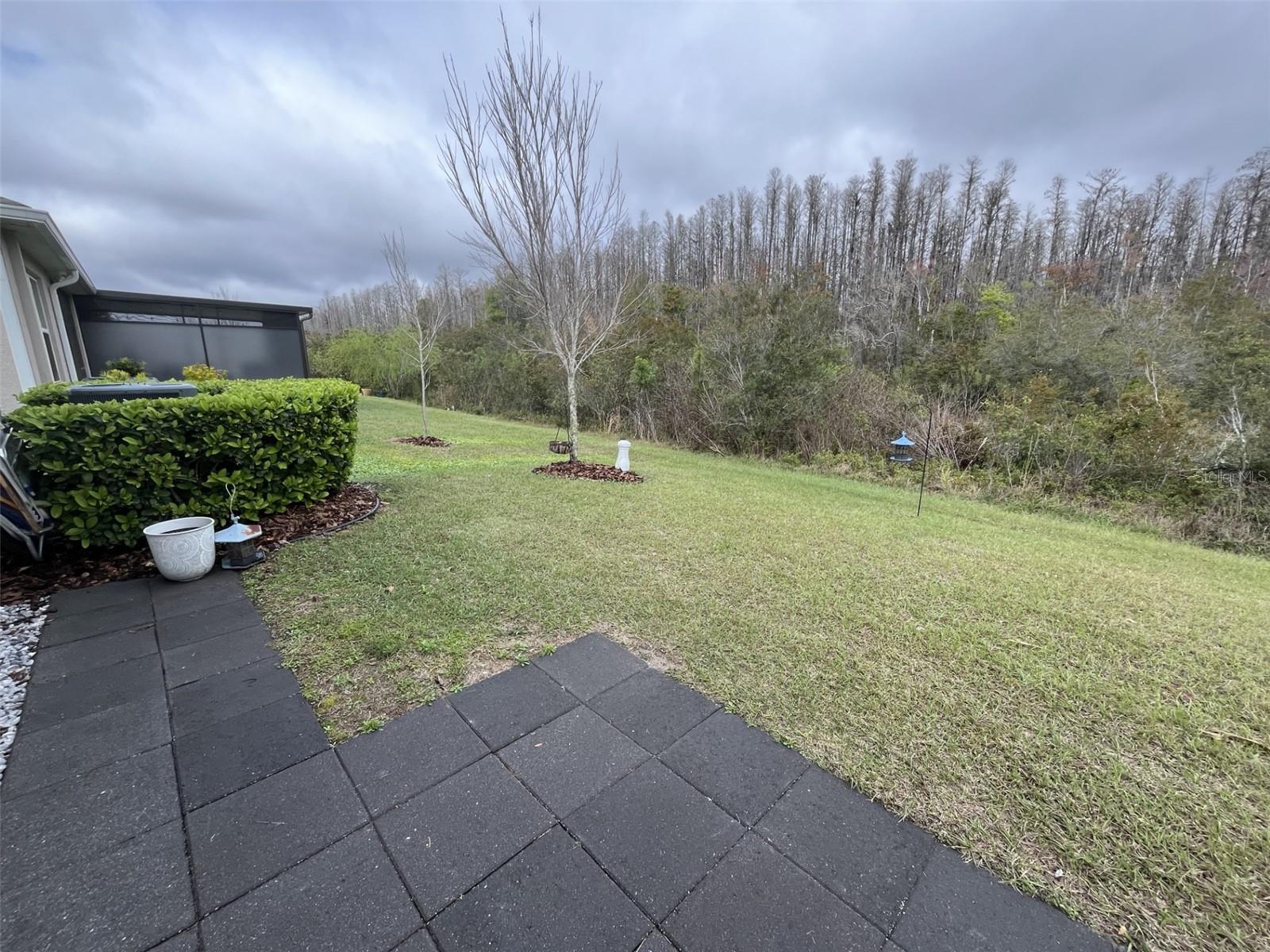18339 TURNING LEAF CIR, LAND O LAKES, FL, 34638