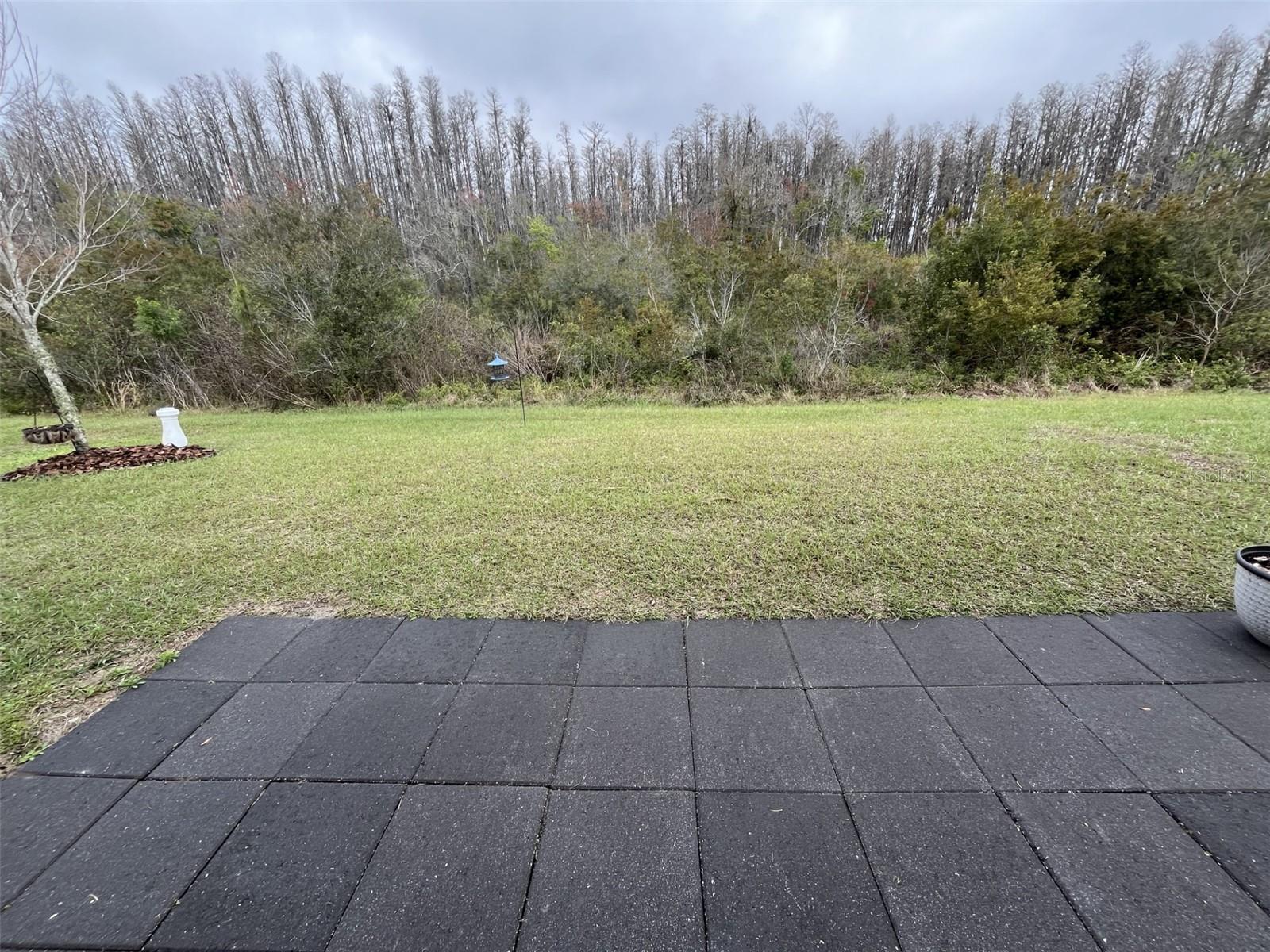18339 TURNING LEAF CIR, LAND O LAKES, FL, 34638