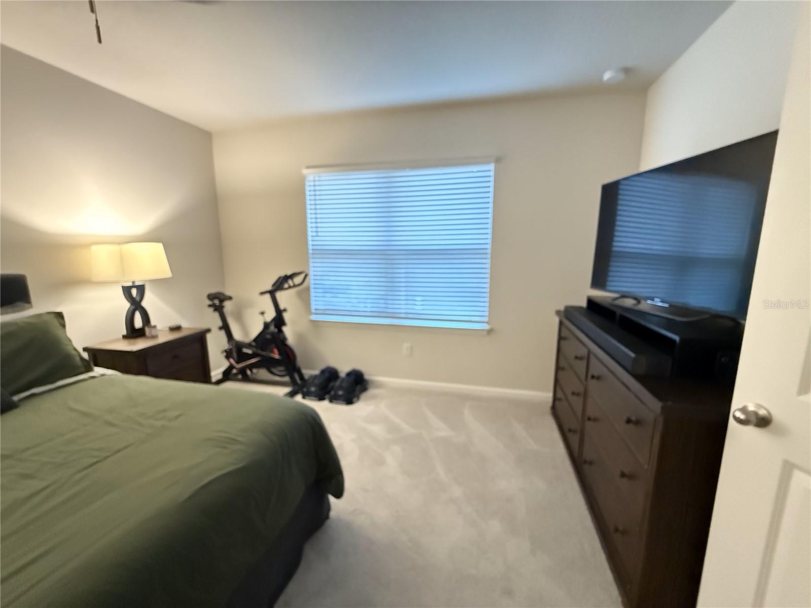 18339 TURNING LEAF CIR, LAND O LAKES, FL, 34638