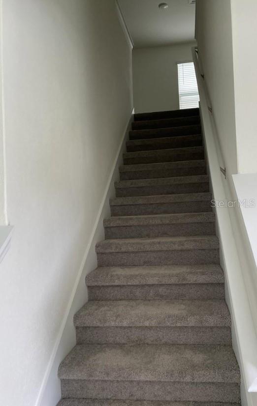 16943 TRITE BEND ST, WIMAUMA, FL, 33598