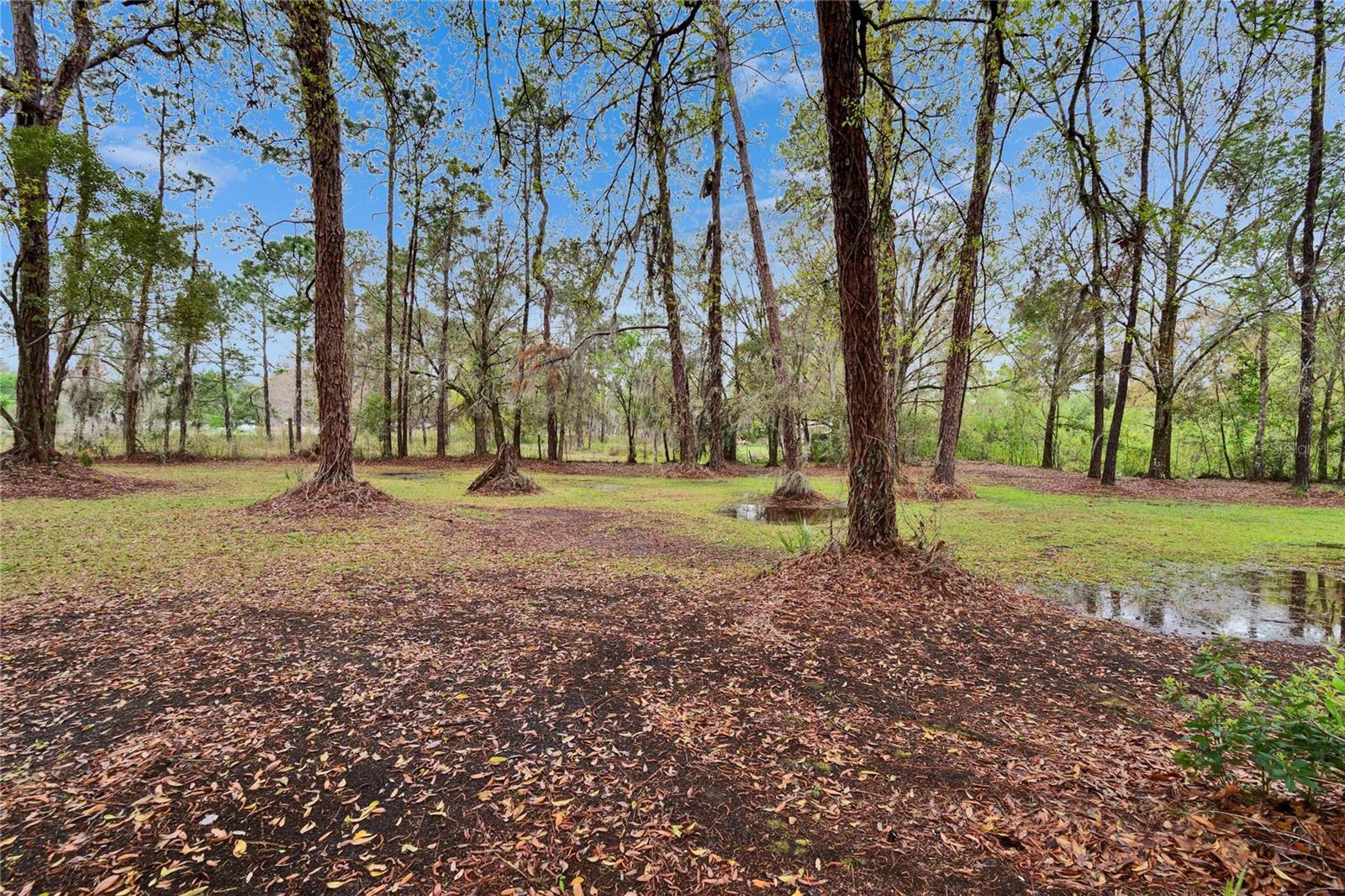7929 CHASE RD, LAKELAND, FL, 33810