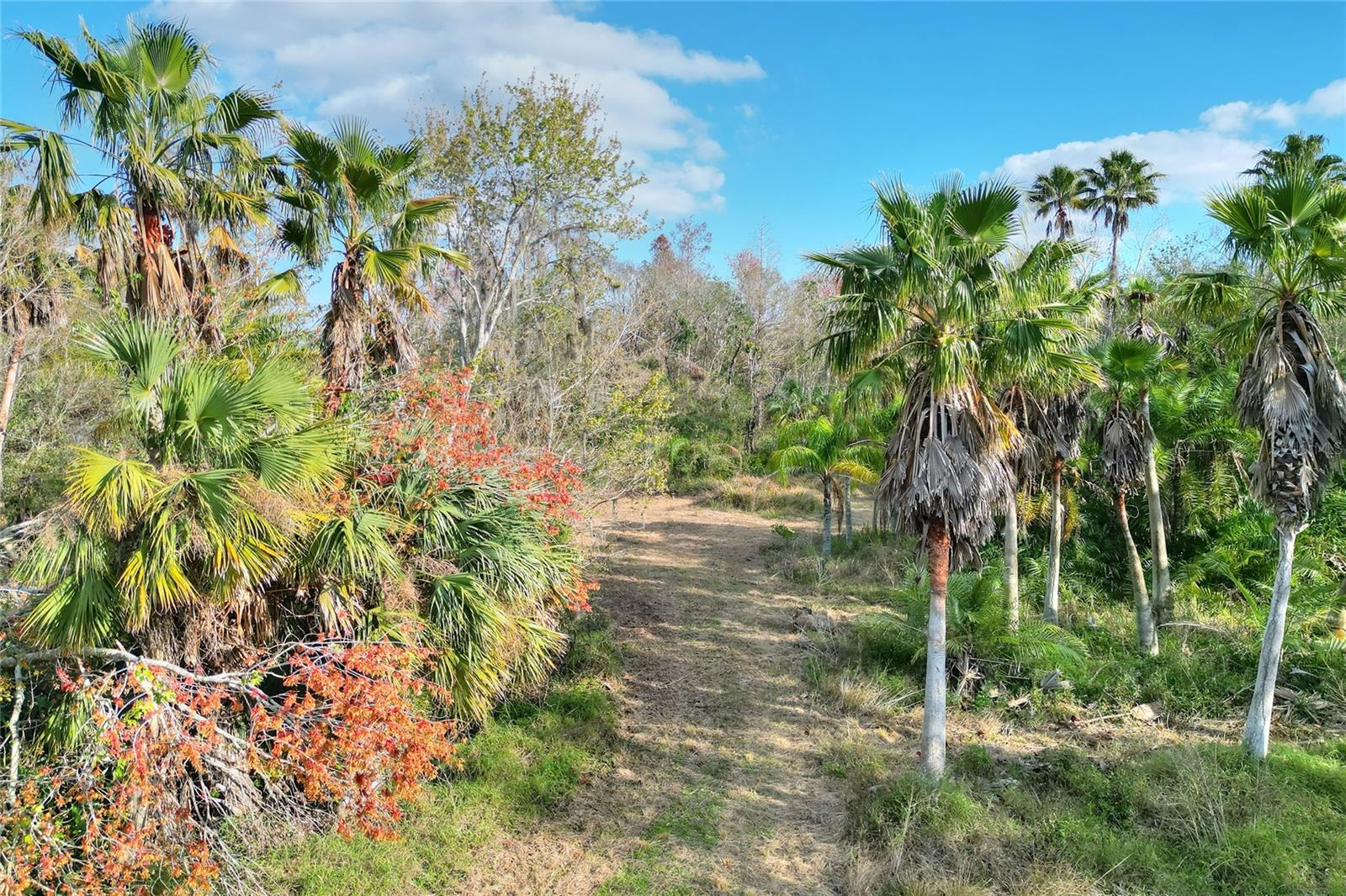 8680 WILLIAMS RD, SEFFNER, FL, 33584