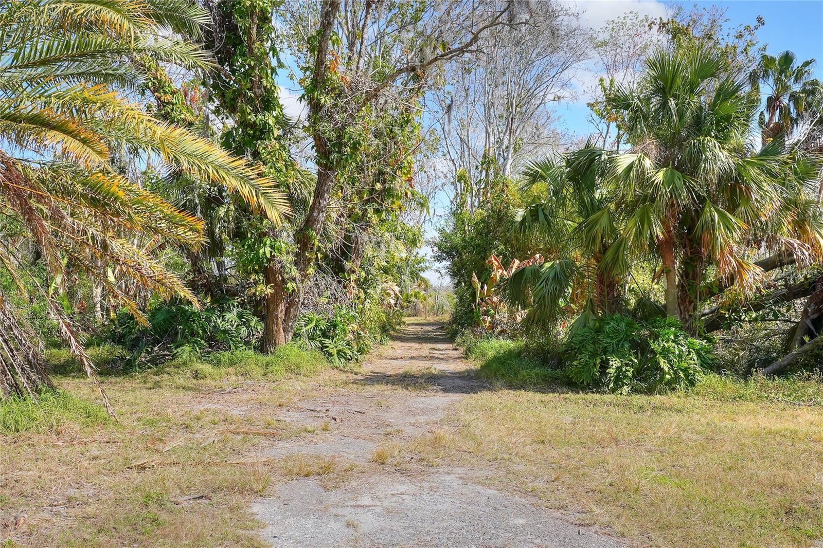 8680 WILLIAMS RD, SEFFNER, FL, 33584