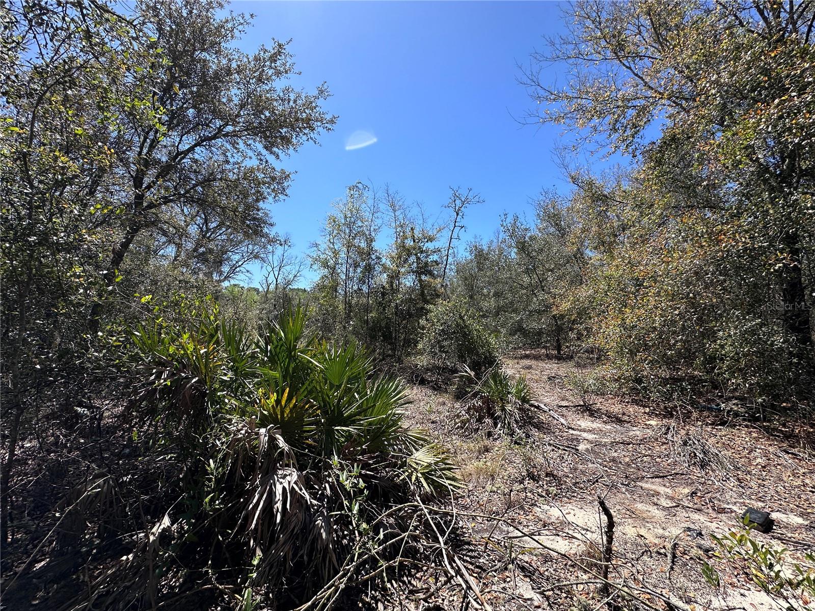 TBD NE 122ND AVE, WILLISTON, FL, 32696