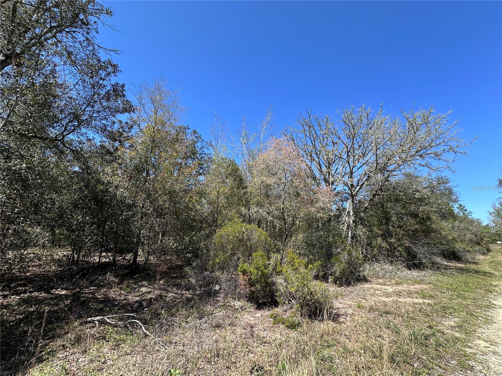 TBD NE 122ND AVE, WILLISTON, FL, 32696