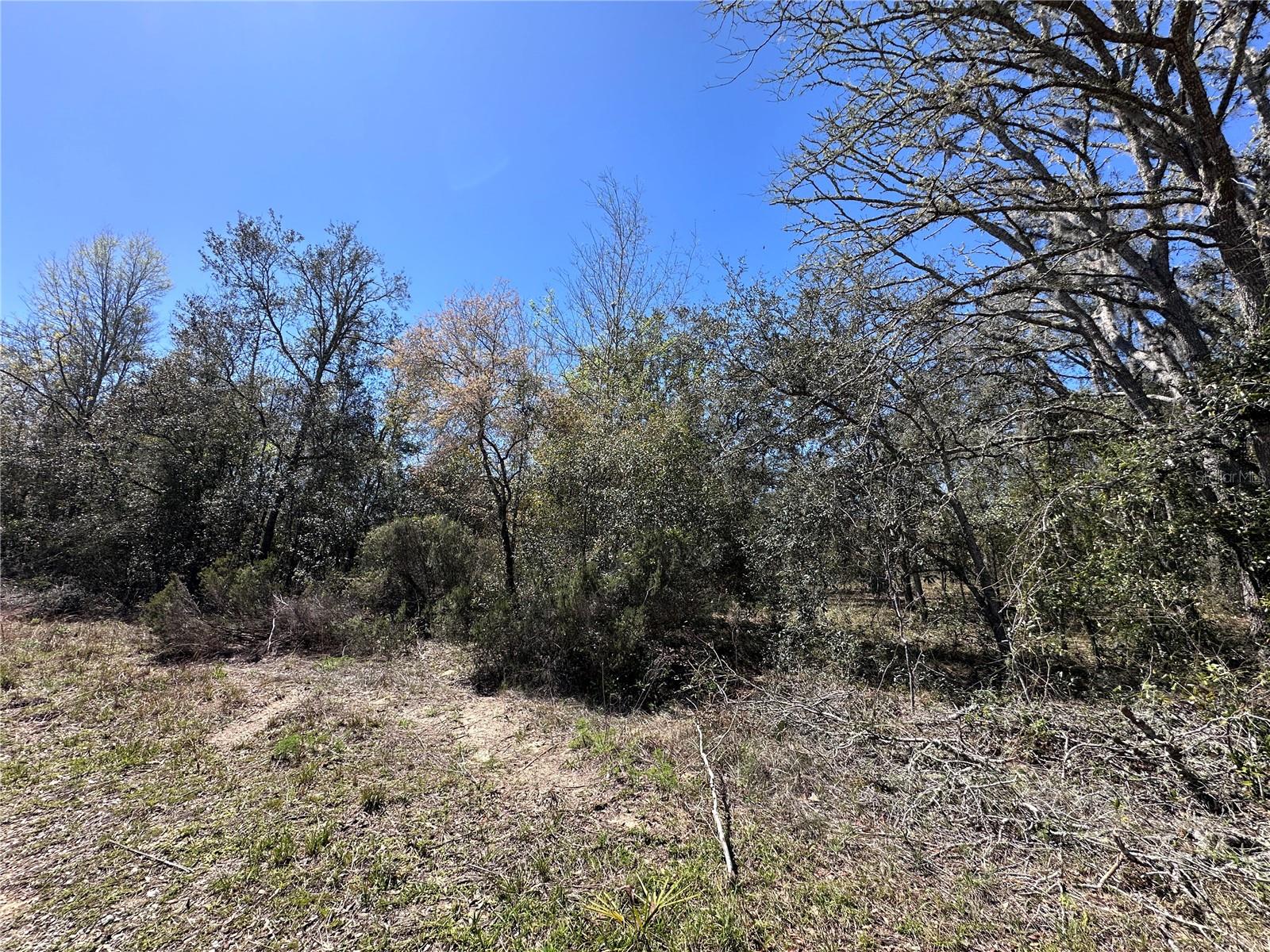 TBD NE 122ND AVE, WILLISTON, FL, 32696