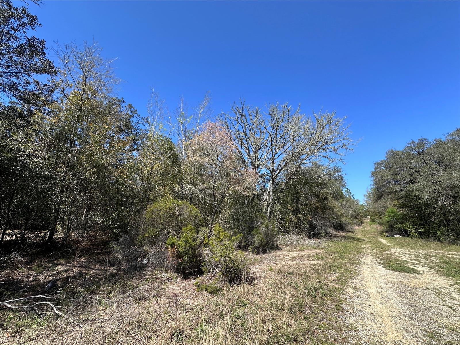 TBD NE 122ND AVE, WILLISTON, FL, 32696