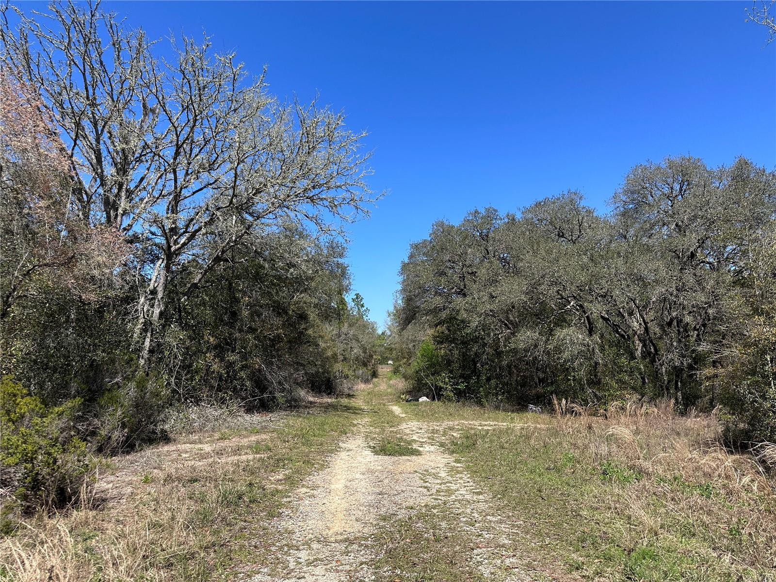 TBD NE 122ND AVE, WILLISTON, FL, 32696