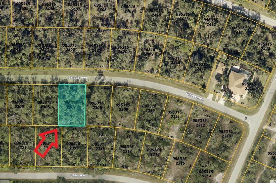 GRIGGS AVE, NORTH PORT, FL, 34291