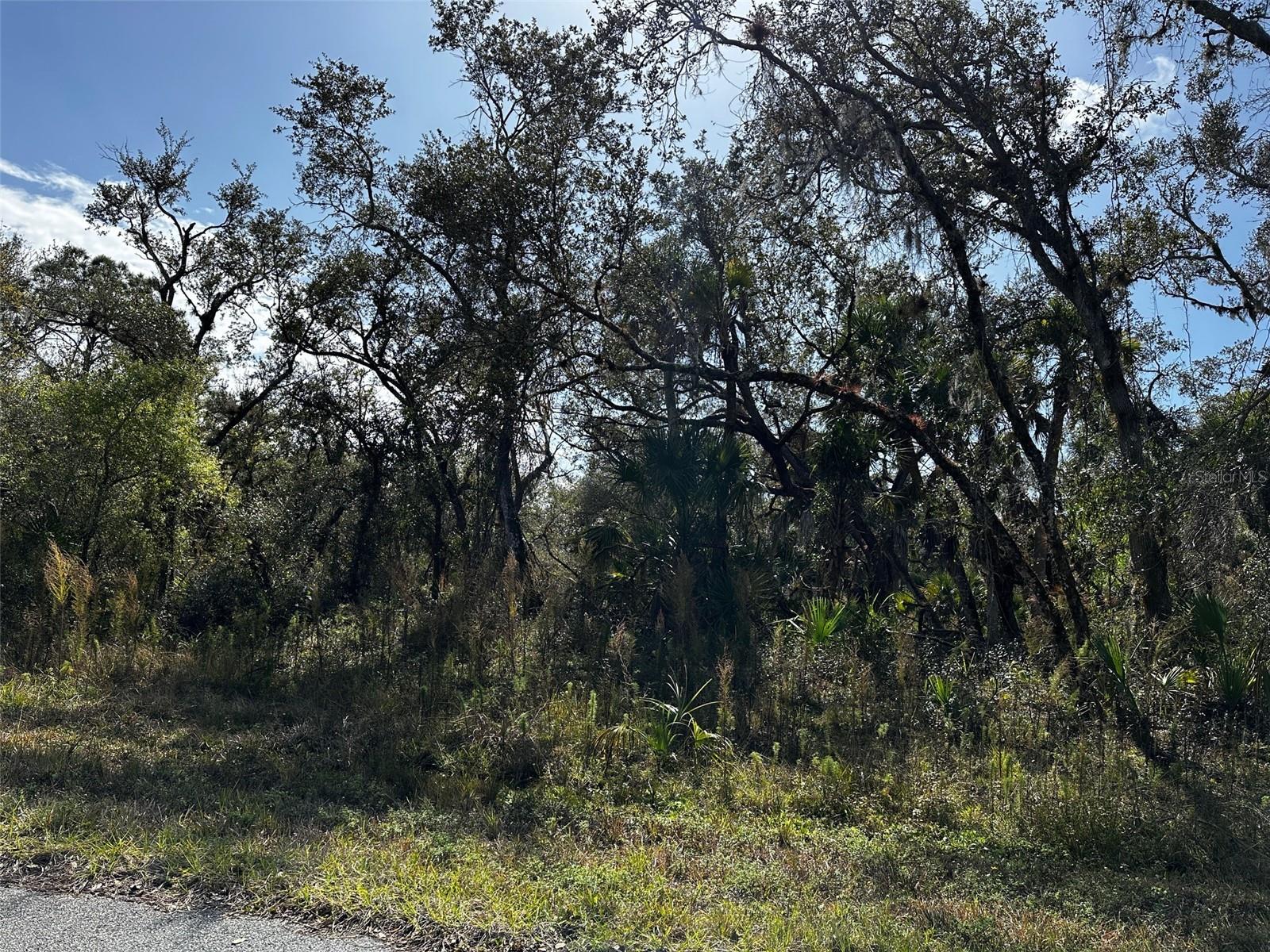 GRIGGS AVE, NORTH PORT, FL, 34291