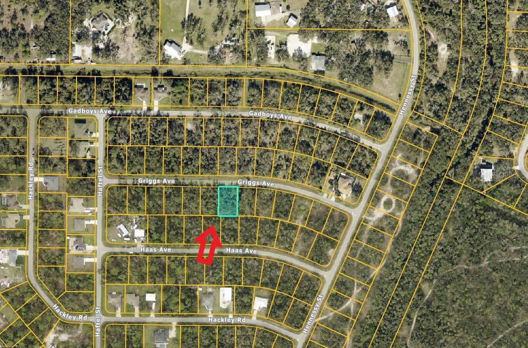 GRIGGS AVE, NORTH PORT, FL, 34291