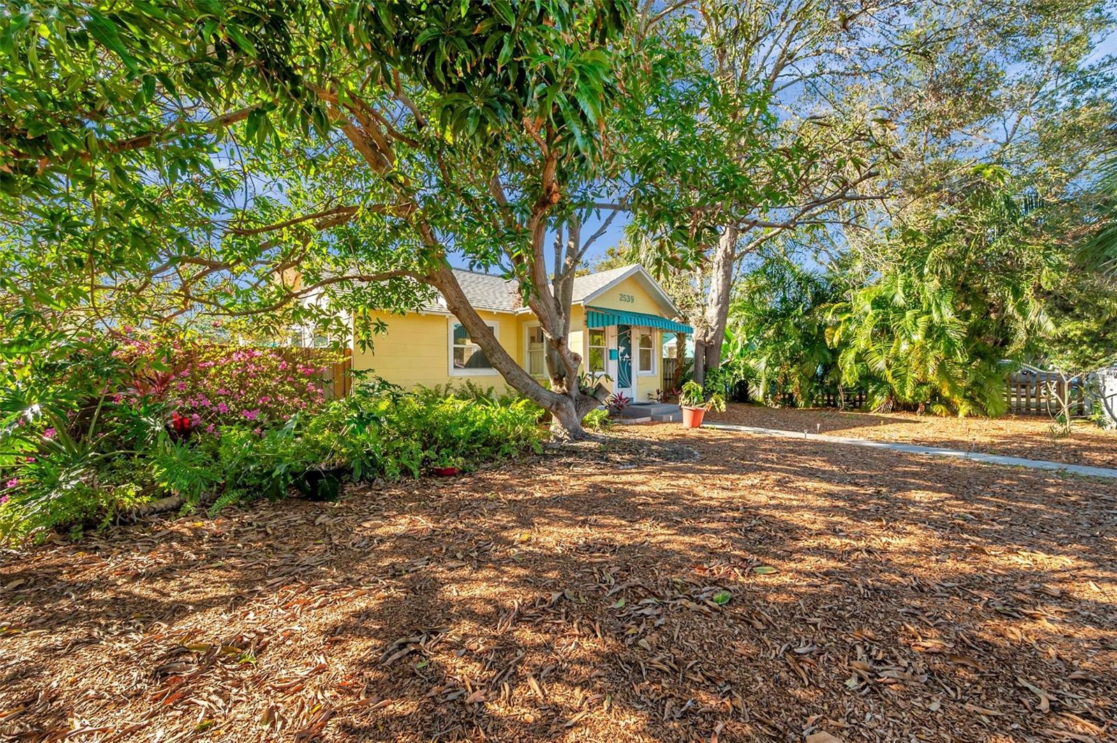 2539 44TH ST S, ST PETERSBURG, FL, 33711