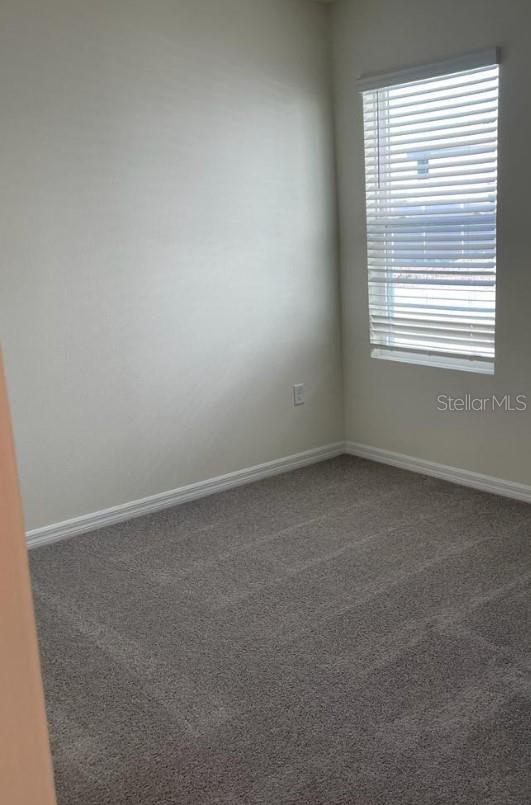 17017 OVAL RUM DR, WIMAUMA, FL, 33598