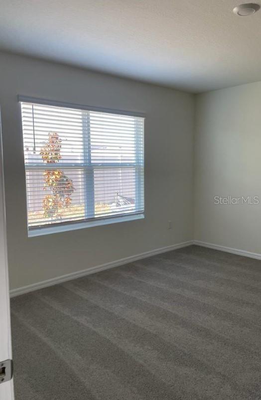 17017 OVAL RUM DR, WIMAUMA, FL, 33598