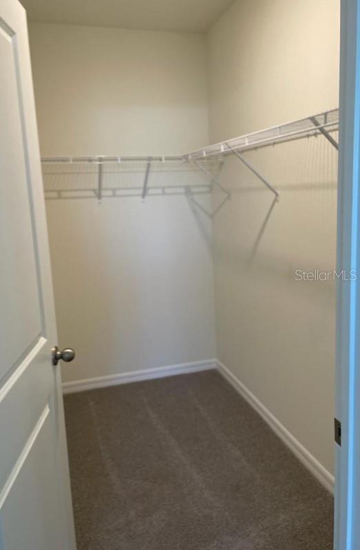 17017 OVAL RUM DR, WIMAUMA, FL, 33598