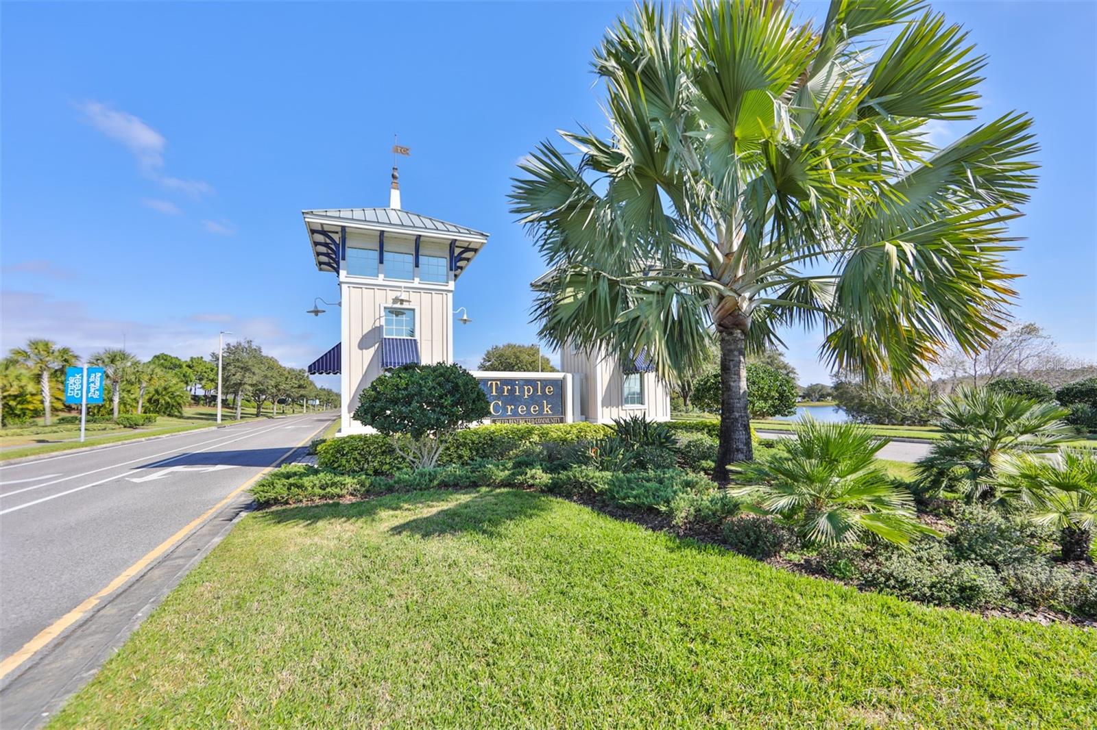 12928 WILDFLOWER MEADOW DR, RIVERVIEW, FL, 33579