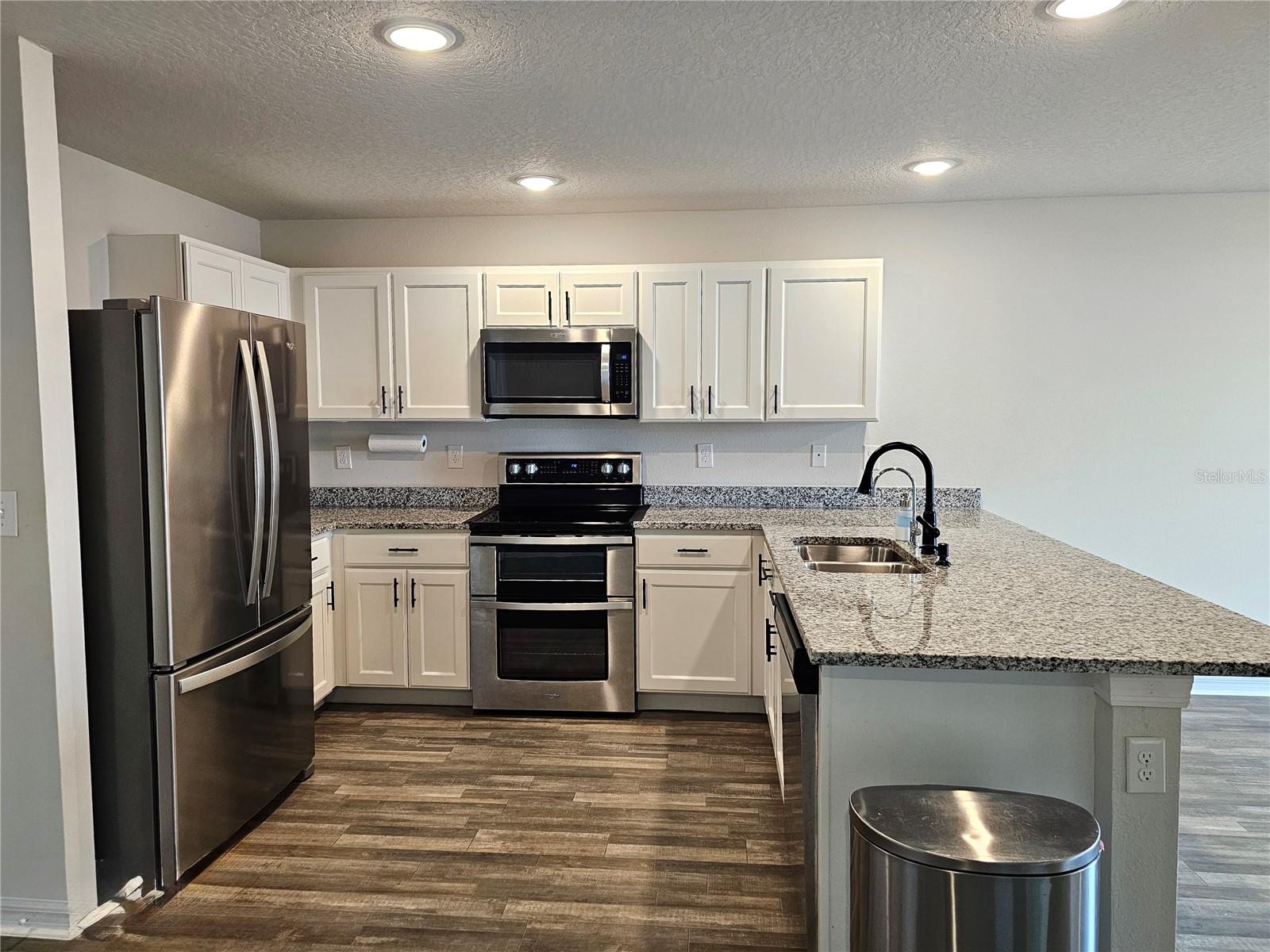 228 RIVER HILL DR, WELAKA, FL, 32193