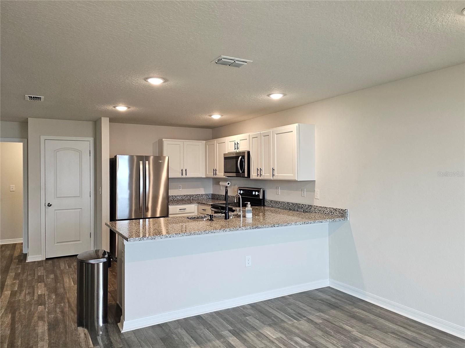 228 RIVER HILL DR, WELAKA, FL, 32193