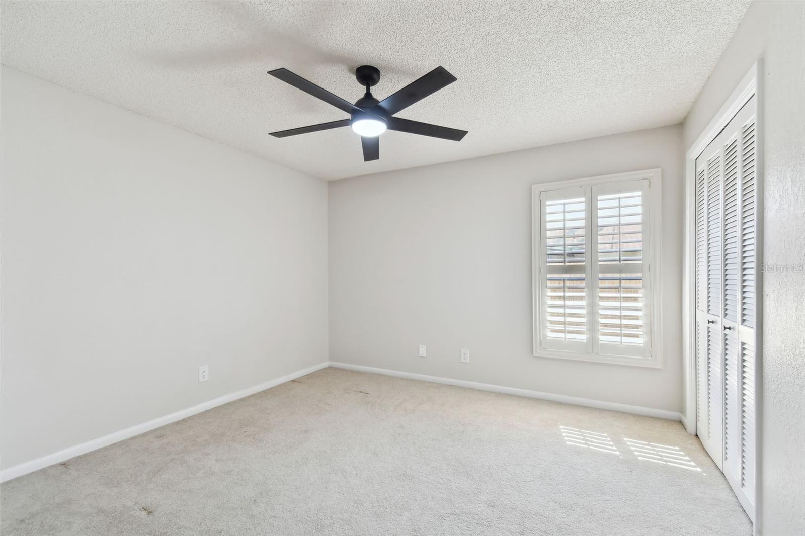 3111 BISHOP DR, SAFETY HARBOR, FL, 34695