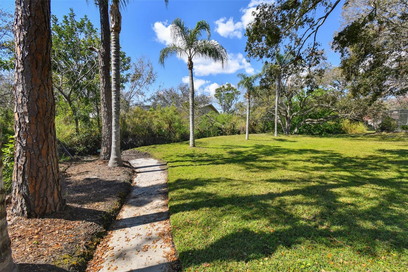 3111 BISHOP DR, SAFETY HARBOR, FL, 34695