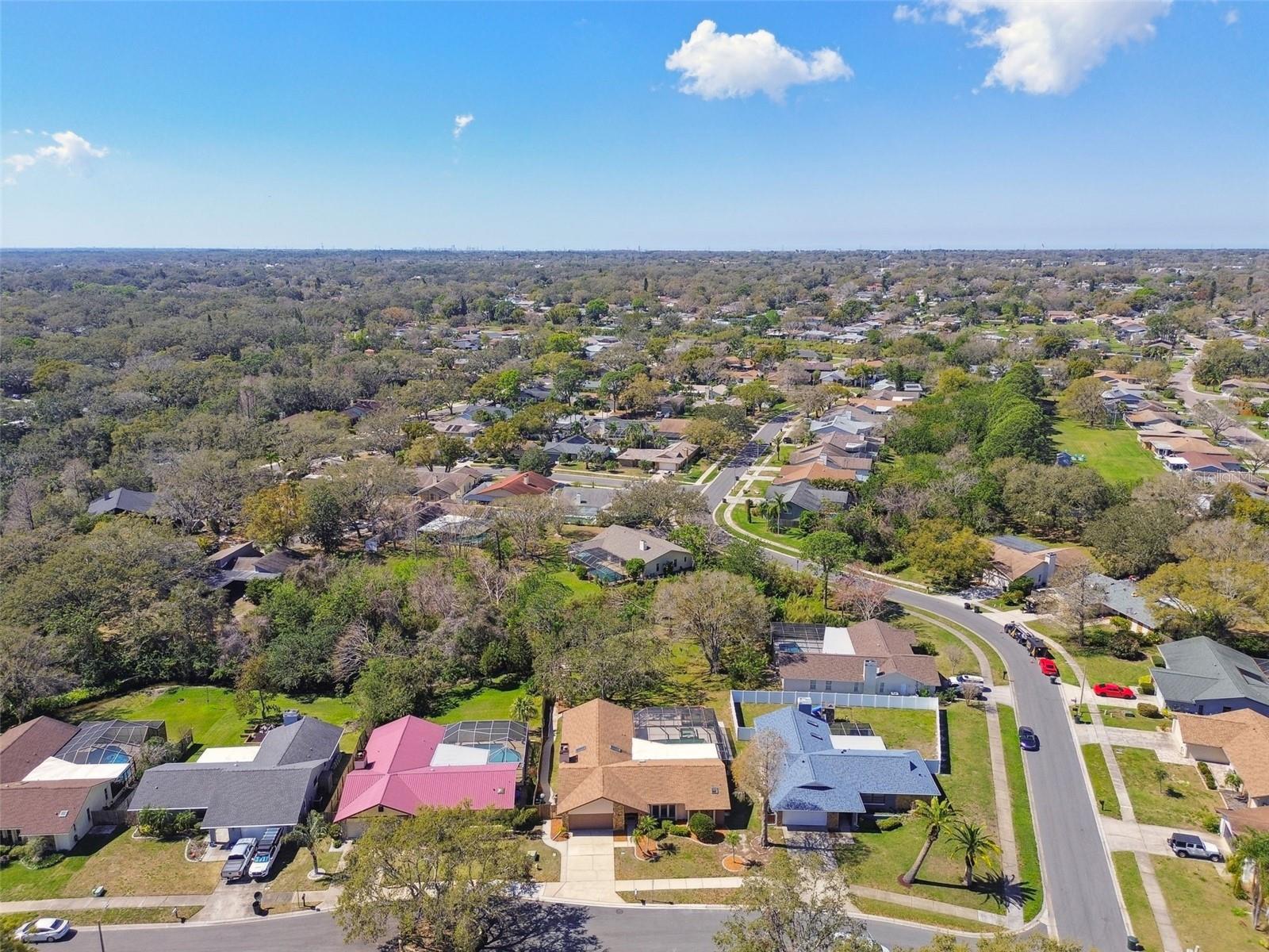 3111 BISHOP DR, SAFETY HARBOR, FL, 34695