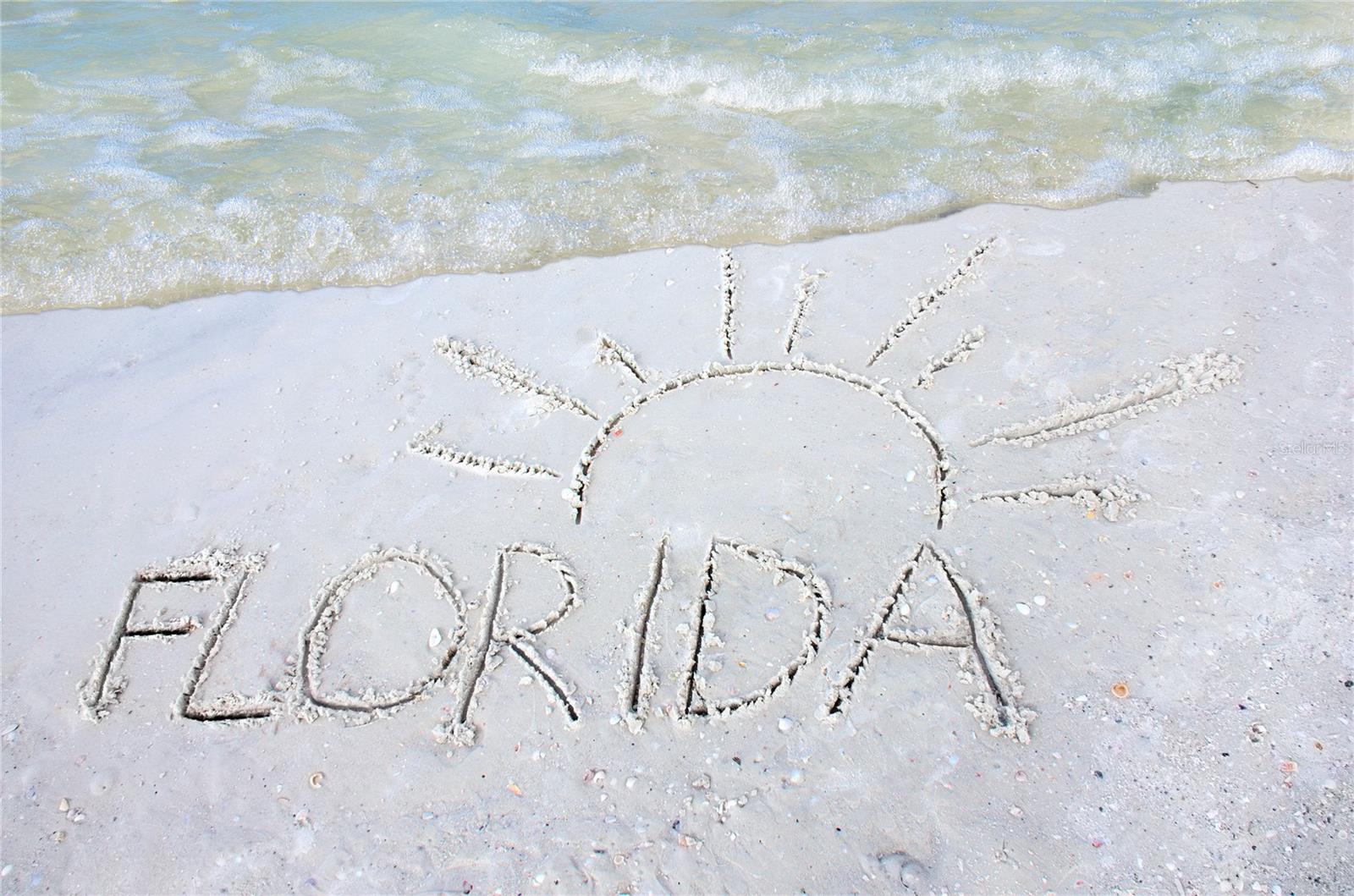 1332 TIOGA AVE, CLEARWATER, FL, 33756