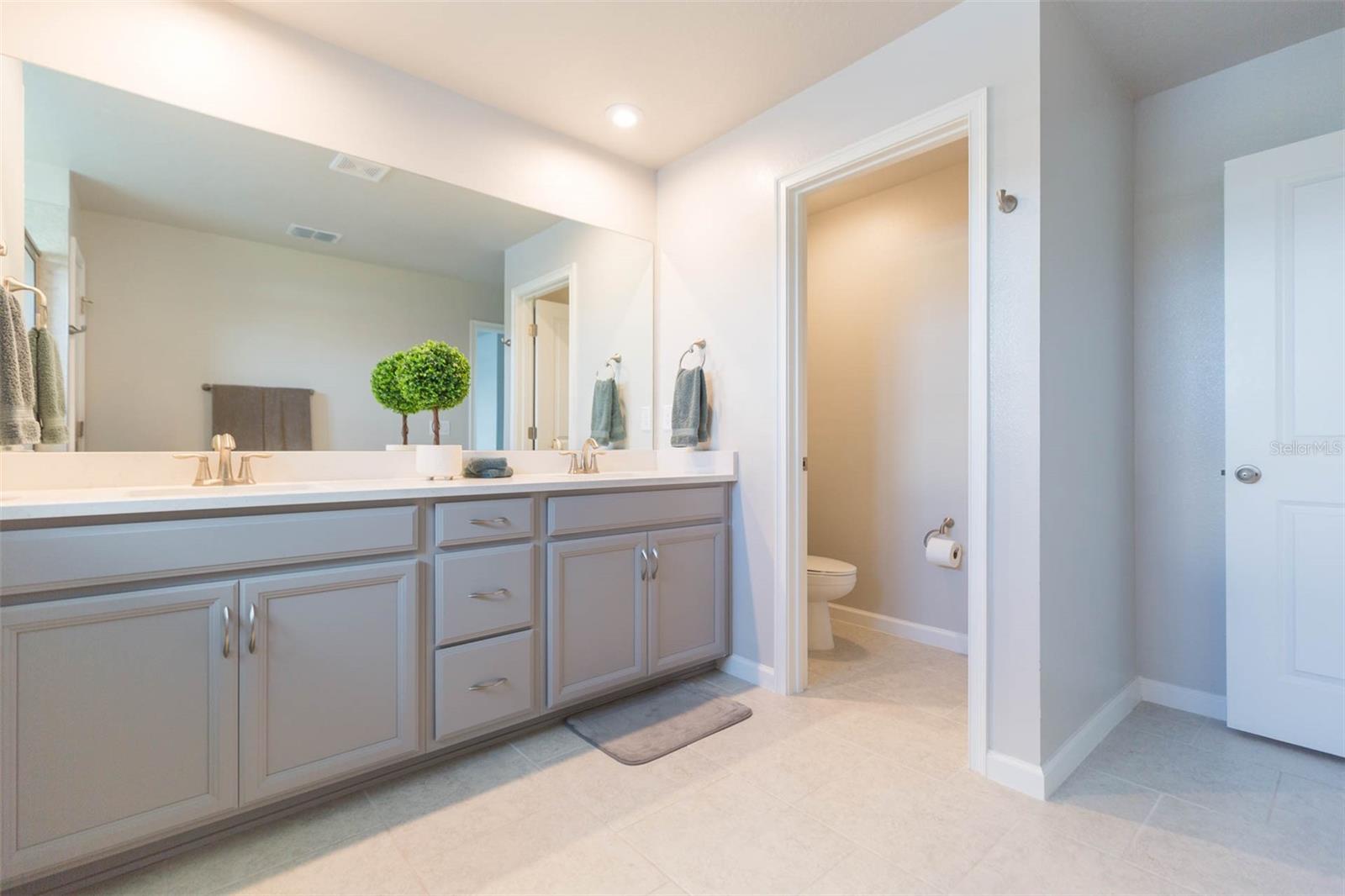 2334 AUDUBON PRESERVE LN, LUTZ, FL, 33558