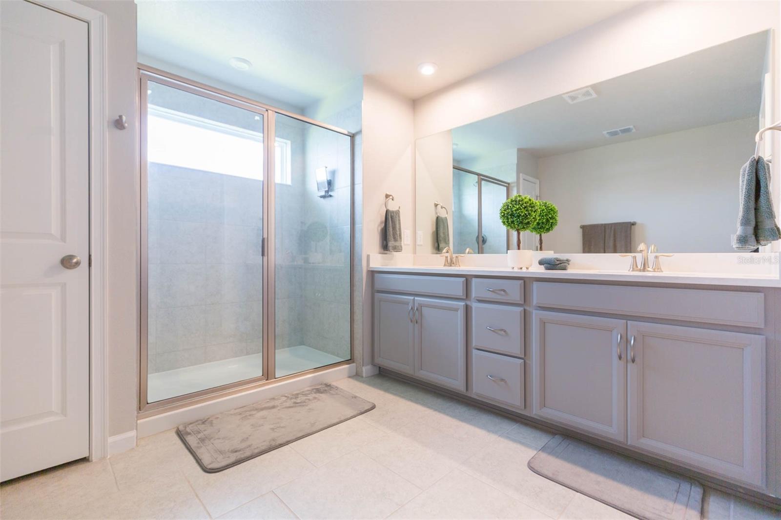 2334 AUDUBON PRESERVE LN, LUTZ, FL, 33558